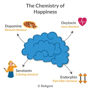 La química de la felicidad en el cerebro: oxitocina, dopamina y serotonina relacionadas con el bienestar emocional